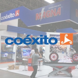 gallery/coexito